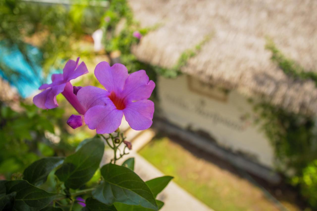 Hotel Villas Mariposas Atlixco Luaran gambar