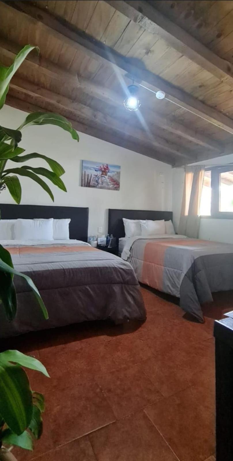 Hotel Villas Mariposas Atlixco Luaran gambar